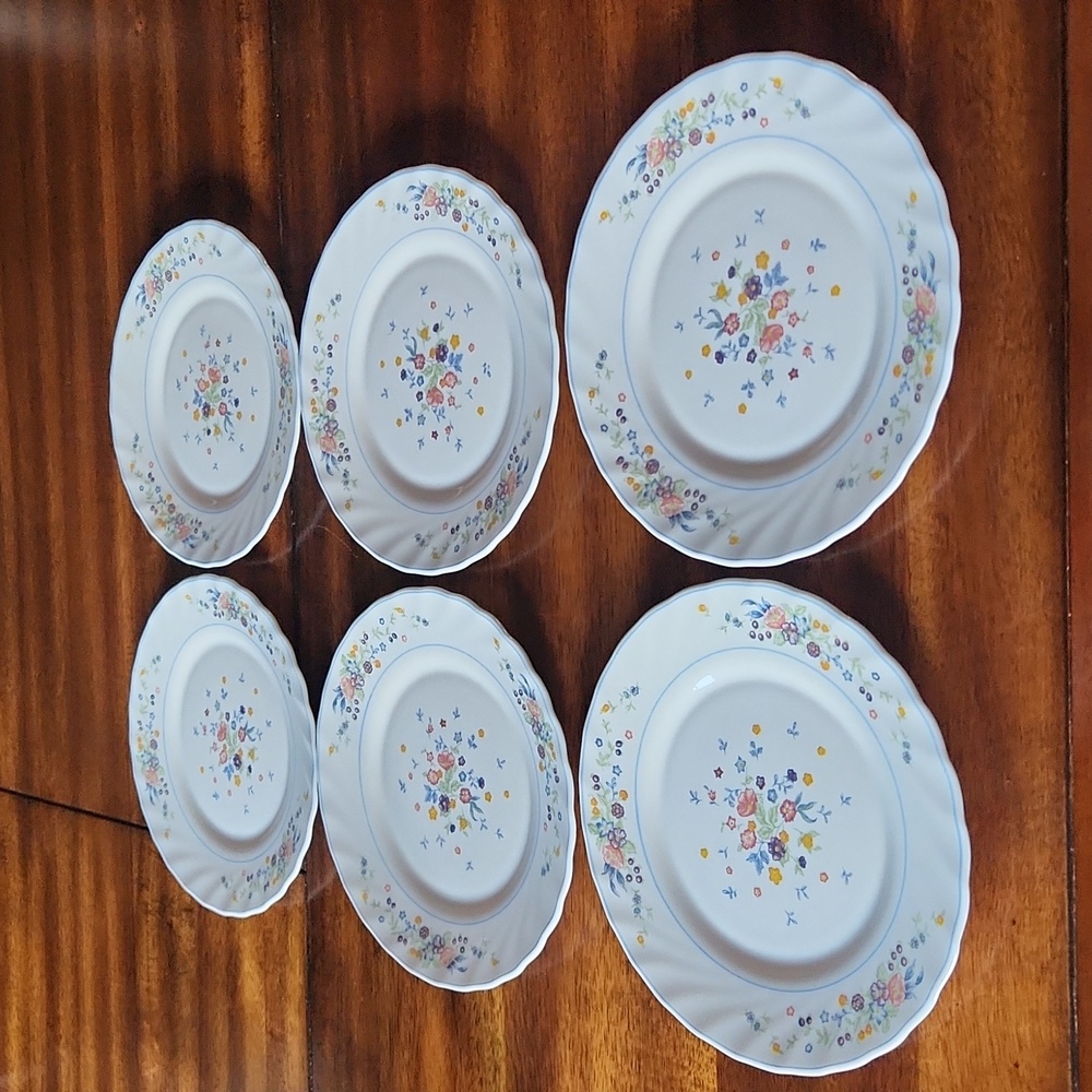 Vintage Luminarc Arcopal France Victoria Flower Design Set of 6 Plates